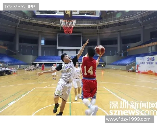 深圳篮球队的拼搏历程与荣耀之路深度解析